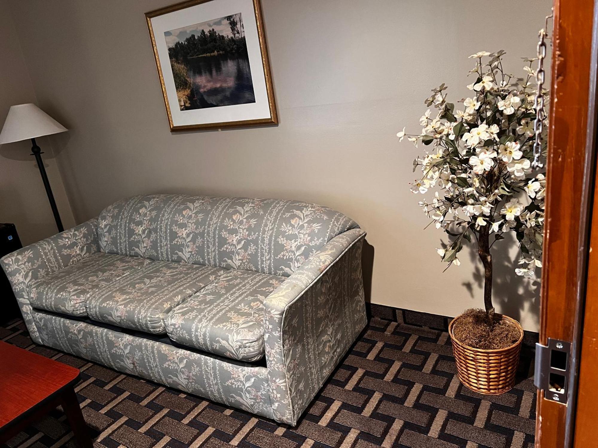 Sky Lodge Inn & Suites - דלבן מראה חיצוני תמונה